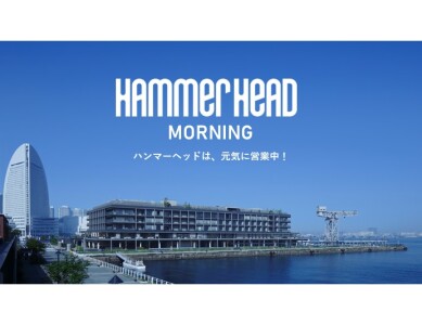 HAMMERHEAD MORNING